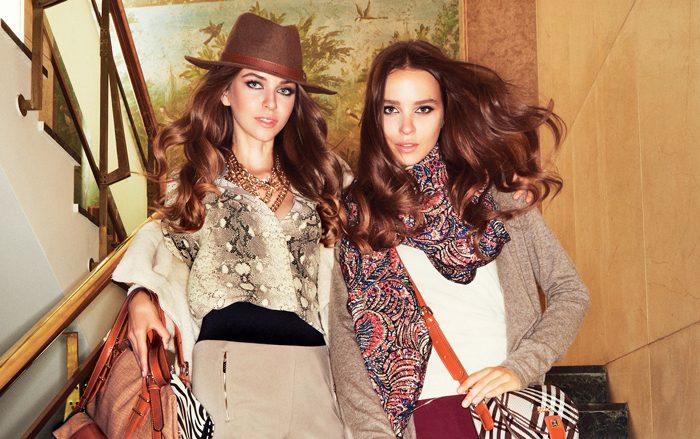 Earthy Color Shade